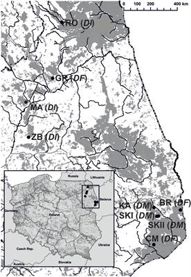 The patterns of inbreeding depression in food-deceptive Dactylorhiza orchids